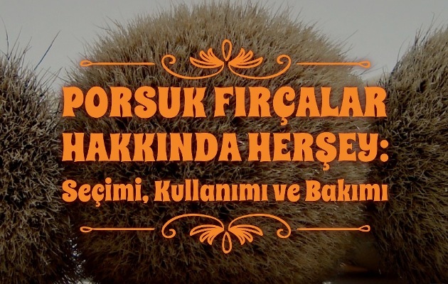 Porsuk Fırçalar Hakkında Herşey